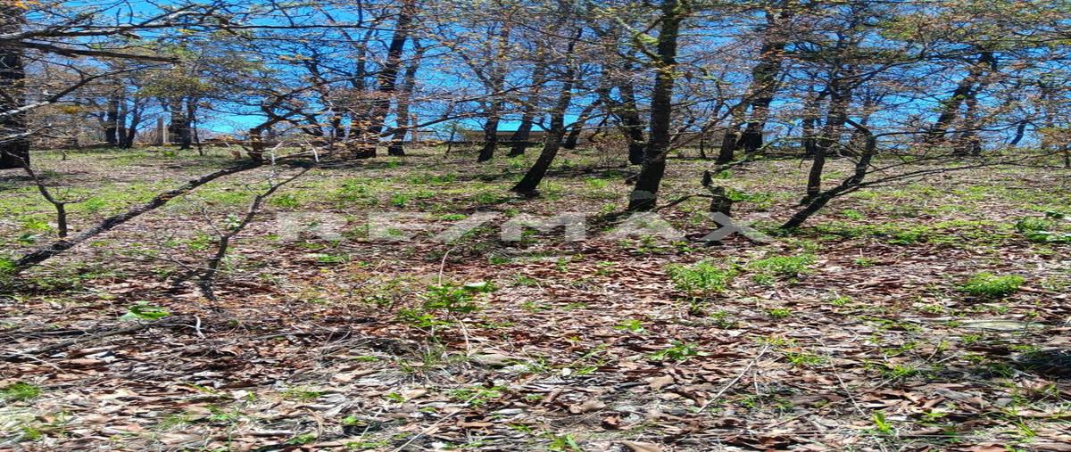 Foto de terreno habitacional en pedregal del bosque , llano grande de milpillas chico, pueblo nuevo, durango, 30186033 foto 02 Foto de terreno habitacional en venta en pedregal del bosque , llano grande de milpillas chico, pueblo nuevo, durango, 30186033 No. 02