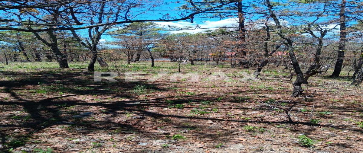 Foto de terreno habitacional en pedregal del bosque , llano grande de milpillas chico, pueblo nuevo, durango, 30186033 foto 03 Foto de terreno habitacional en venta en pedregal del bosque , llano grande de milpillas chico, pueblo nuevo, durango, 30186033 No. 03