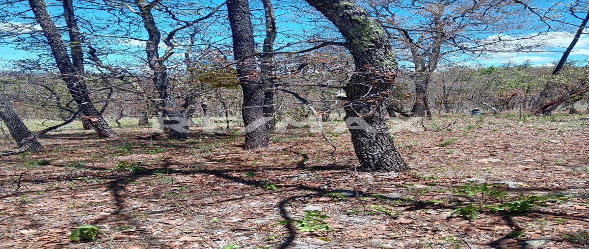 Foto de terreno habitacional en pedregal del bosque , llano grande de milpillas chico, pueblo nuevo, durango, 30186033 foto 04 Foto de terreno habitacional en venta en pedregal del bosque , llano grande de milpillas chico, pueblo nuevo, durango, 30186033 No. 04