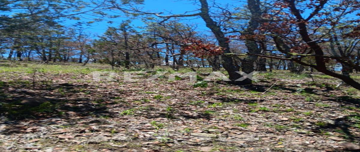 Foto de terreno habitacional en pedregal del bosque , llano grande de milpillas chico, pueblo nuevo, durango, 30186033 foto 05 Foto de terreno habitacional en venta en pedregal del bosque , llano grande de milpillas chico, pueblo nuevo, durango, 30186033 No. 05