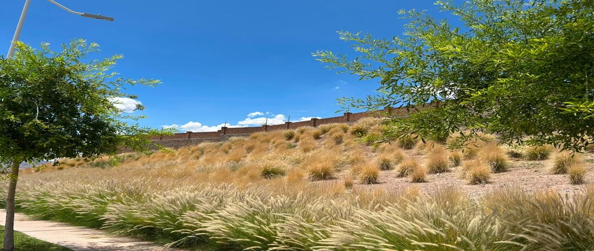 Foto de terreno habitacional en venta en  , pedregal del valle, chihuahua, chihuahua, 0 No. 05