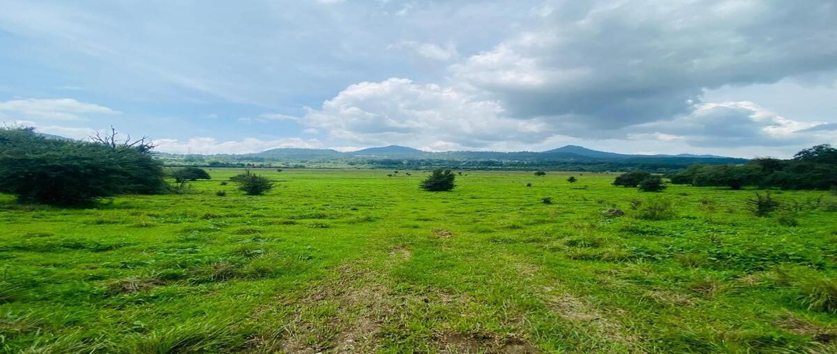 Foto de terreno habitacional en pedregal , santo tomás el pedregal, valle de bravo, méxico, 28415047 foto 05 Foto de terreno habitacional en venta en pedregal , santo tomás el pedregal, valle de bravo, méxico, 28415047 No. 05