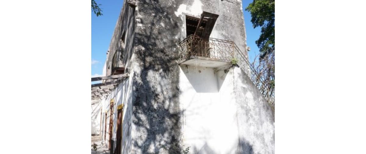 Foto de rancho en venta en  , pedregales de ciudad caucel, mérida, yucatán, 9327653 No. 06