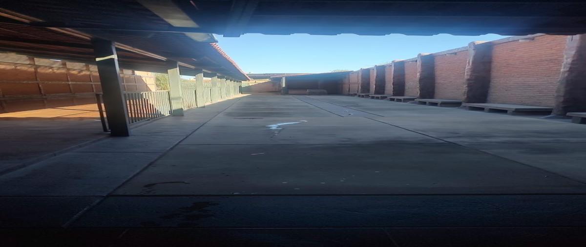 Foto de rancho en renta en pedrera , santa elena, rincón de romos, aguascalientes, 0 No. 05