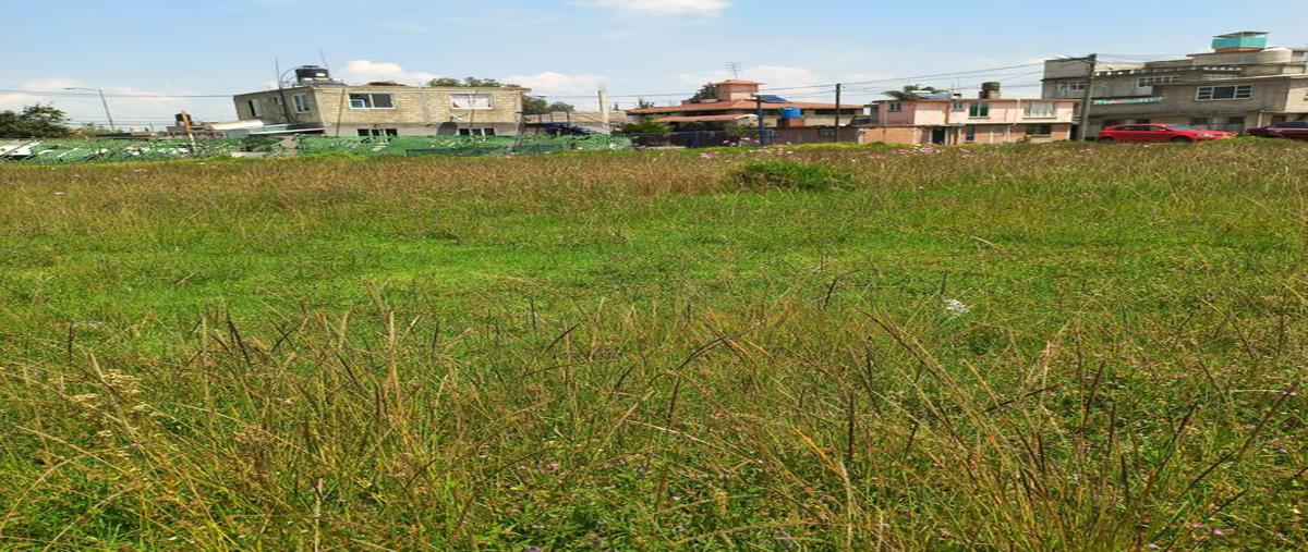 Foto de terreno habitacional en pedro ascencio , san mateo otzacatipan, toluca, méxico, 24871334 foto 03 Foto de terreno habitacional en venta en pedro ascencio , san mateo otzacatipan, toluca, méxico, 24871334 No. 03