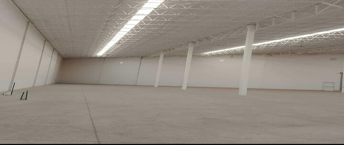 Foto de bodega en renta en  , pedro domínguez, chihuahua, chihuahua, 0 No. 04