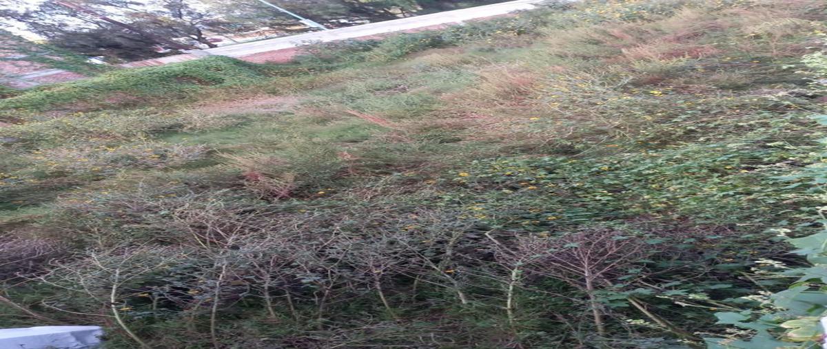 Foto de terreno industrial en pedro escobedo , pedro escobedo centro, pedro escobedo, querétaro, 22725927 foto 02 Foto de terreno industrial en venta en pedro escobedo , pedro escobedo centro, pedro escobedo, querétaro, 22725927 No. 02