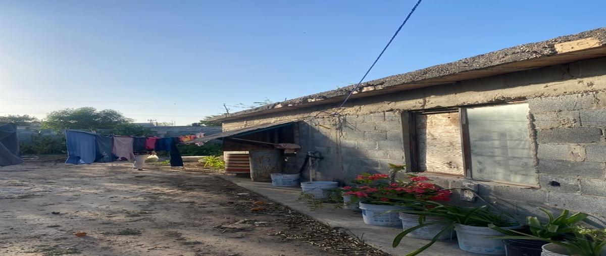 Foto de casa en venta en pedro j mendez whi307273, pedro j mendez ampliación, reynosa, tamaulipas, 0 No. 03