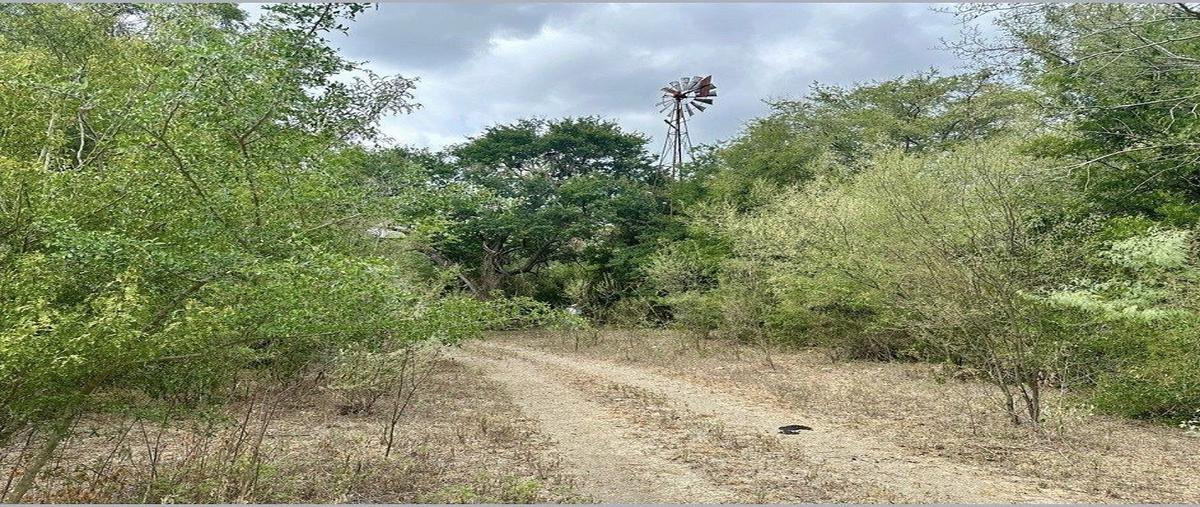 Foto de terreno habitacional en venta en pedro p , naranjos, montemorelos, nuevo león, 0 No. 03