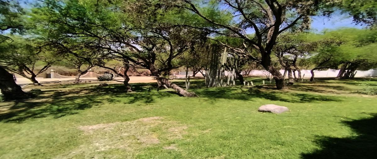 Foto de edificio en renta en pedro paramo , villa de los frailes, san miguel de allende, guanajuato, 0 No. 03