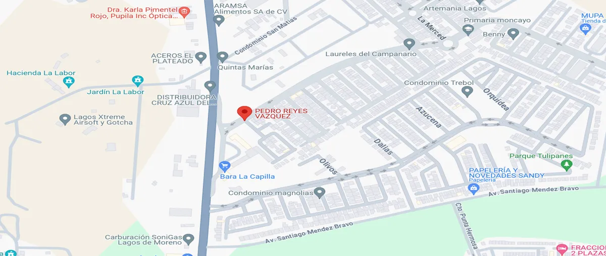 Foto de casa en venta en pedro reyes vazquez 102, el arenal, lagos de moreno, jalisco, 0 No. 04