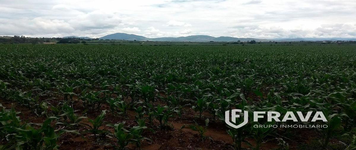 Foto de terreno habitacional en pedro rustico denominado "la ladera" , nextipac, zapopan, jalisco, 17877227 foto 04 Foto de terreno habitacional en venta en pedro rustico denominado "la ladera" , nextipac, zapopan, jalisco, 17877227 No. 04