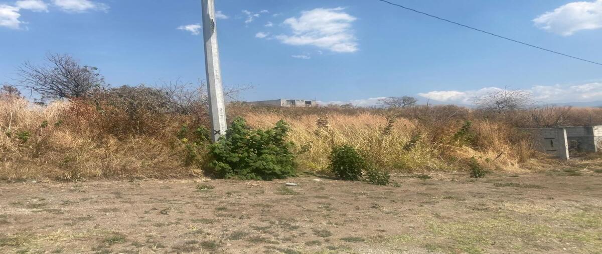 Foto de terreno habitacional en venta en pegregal de san juan , san juan texcalpan, atlatlahucan, morelos, 0 No. 02