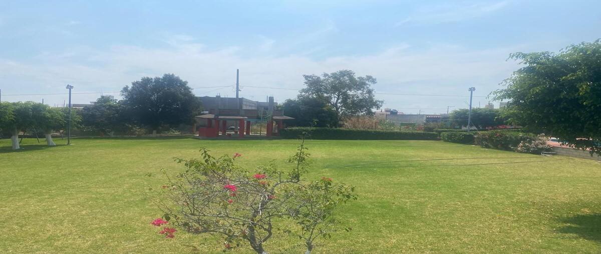 Foto de terreno habitacional en venta en pegregal de san juan , san juan texcalpan, atlatlahucan, morelos, 0 No. 04
