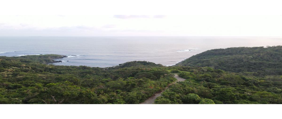 Foto de terreno habitacional en , pelícanos, zihuatanejo de azueta, guerrero, 23152894 foto 02 Foto de terreno habitacional en venta en , pelícanos, zihuatanejo de azueta, guerrero, 23152894 No. 02
