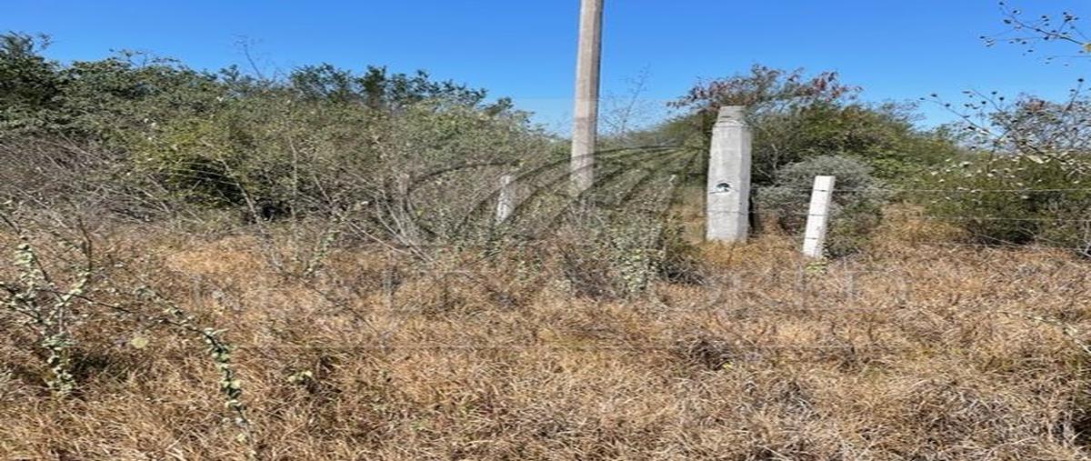 Foto de terreno industrial en venta en  , pemex refinería, cadereyta jiménez, nuevo león, 24243811 No. 03