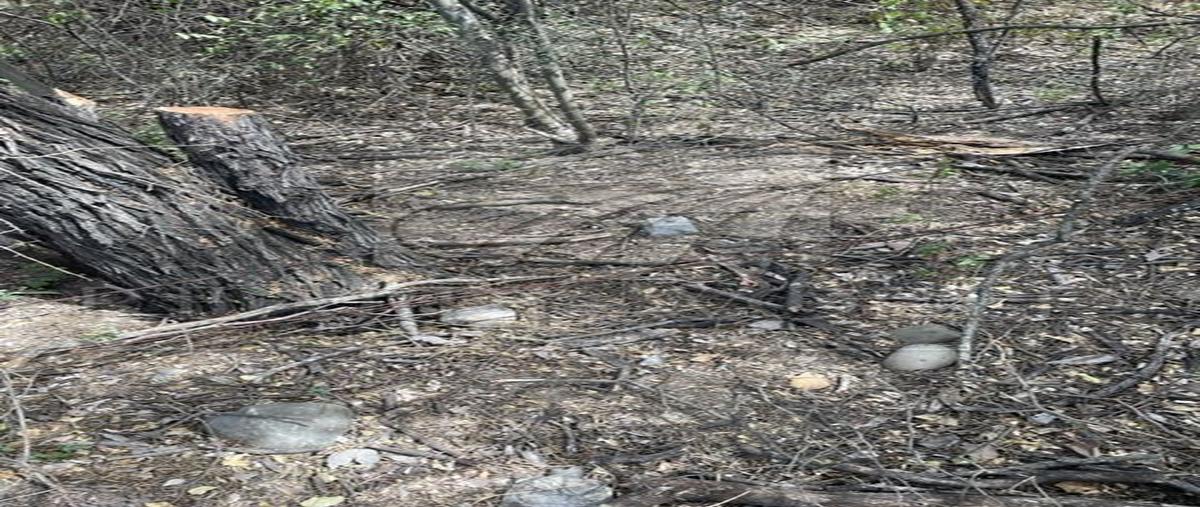Foto de terreno industrial en venta en  , pemex refinería, cadereyta jiménez, nuevo león, 24243811 No. 04