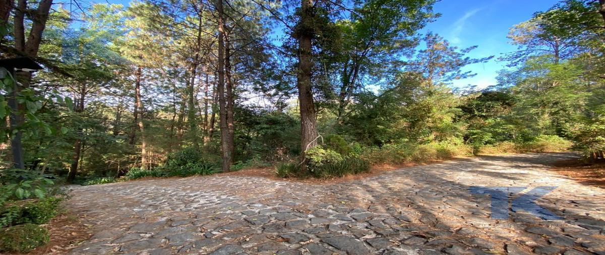 Foto de terreno habitacional en venta en  , peña blanca, valle de bravo, méxico, 28995092 No. 04