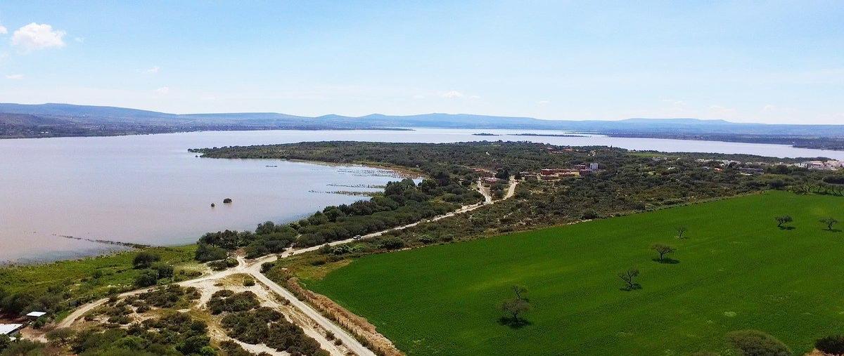 Foto de terreno habitacional en venta en  , peña de la cruz (san miguel el viejo), san miguel de allende, guanajuato, 0 No. 03