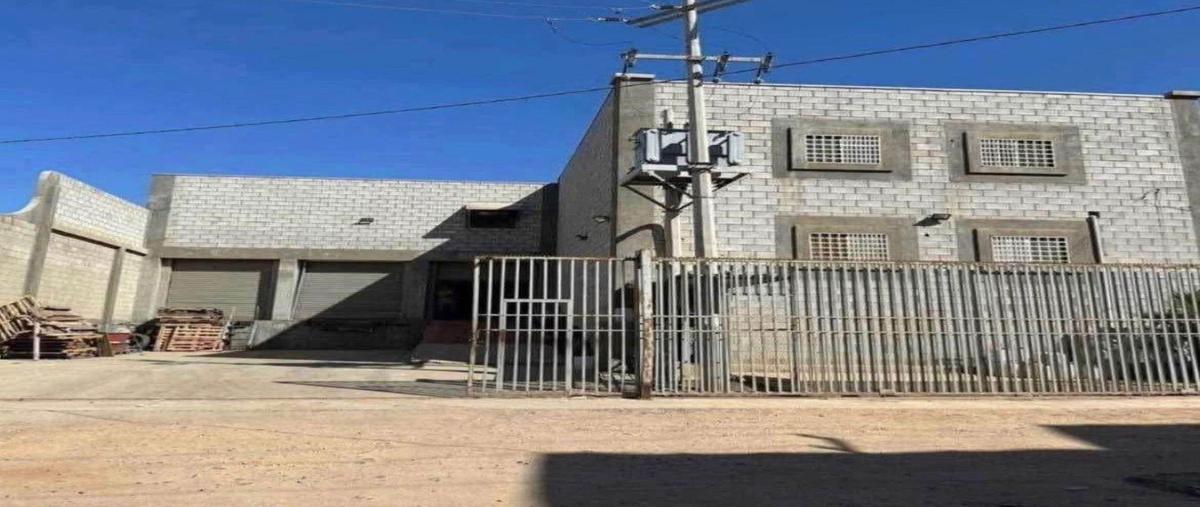 Foto de bodega en penelope , magisterial, tijuana, baja california, 30510366 foto 05 Foto de bodega en renta en penelope , magisterial, tijuana, baja california, 30510366 No. 05