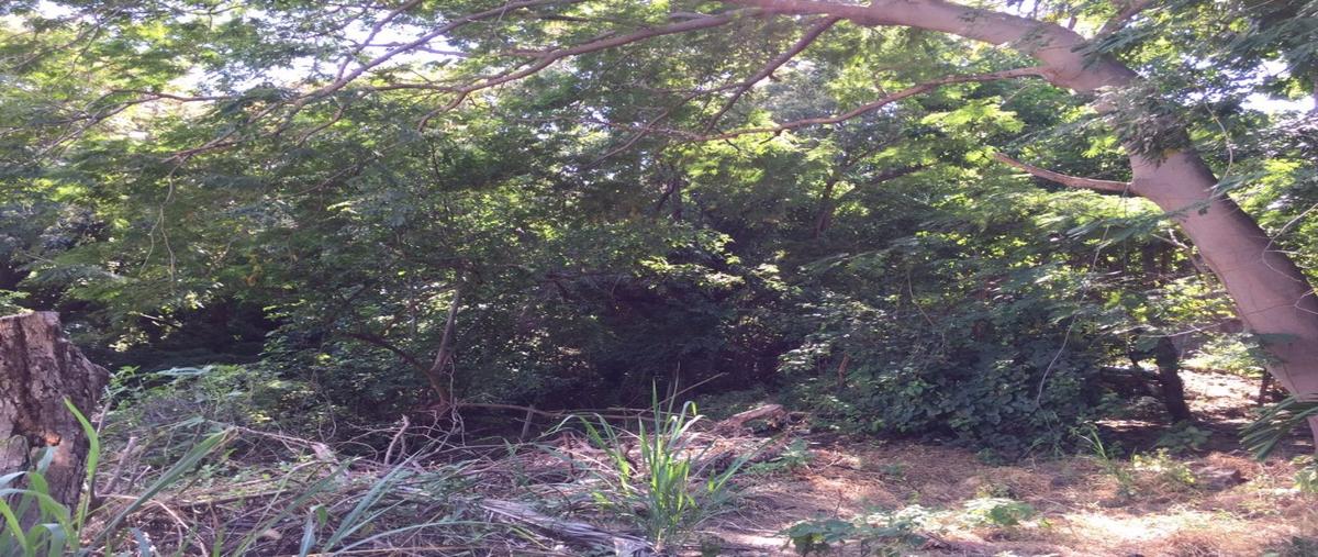 Foto de terreno habitacional en venta en  , península de santiago, manzanillo, colima, 21284012 No. 05