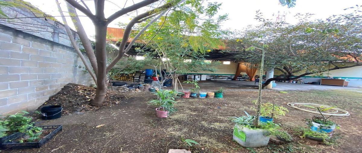 Foto de terreno habitacional en renta en  , penipak norte, tuxtla gutiérrez, chiapas, 27996469 No. 03