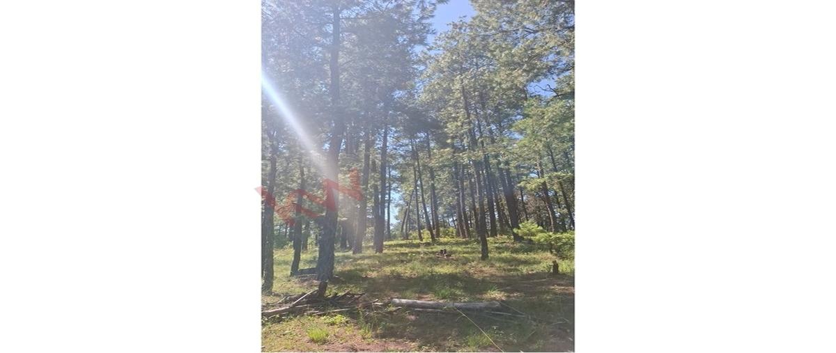 Foto de terreno habitacional en peñita de los pocitos , juanacatlan, tapalpa, jalisco, 30700935 foto 02 Foto de terreno habitacional en venta en peñita de los pocitos , juanacatlan, tapalpa, jalisco, 30700935 No. 02