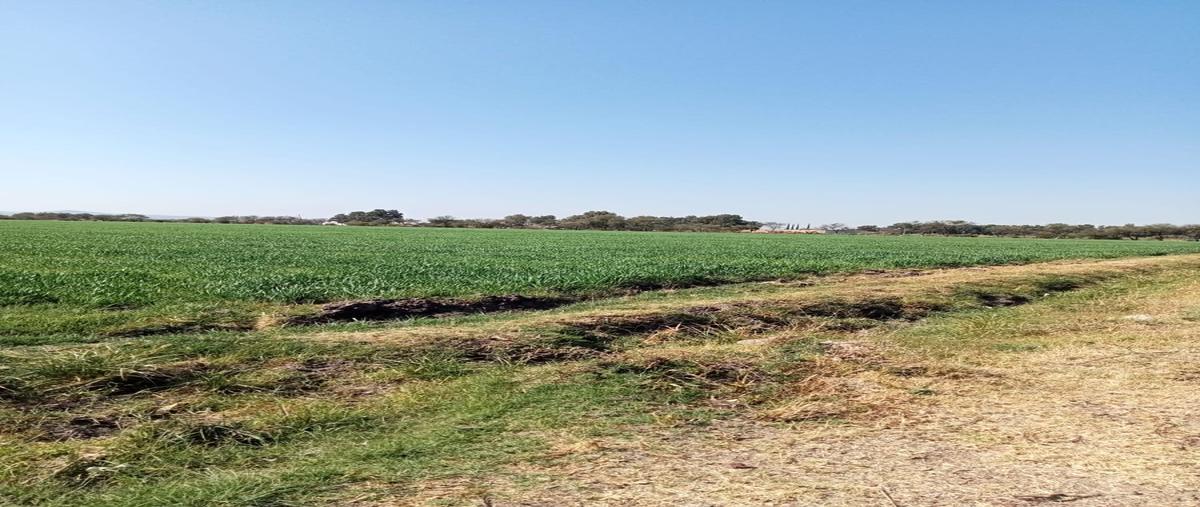 Foto de terreno habitacional en venta en  , pénjamo centro, pénjamo, guanajuato, 0 No. 03