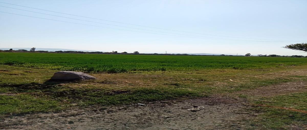 Foto de terreno habitacional en venta en  , pénjamo centro, pénjamo, guanajuato, 0 No. 04