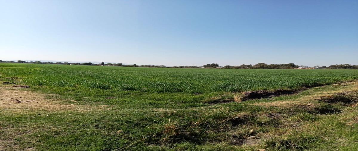 Foto de terreno habitacional en venta en  , pénjamo centro, pénjamo, guanajuato, 0 No. 05