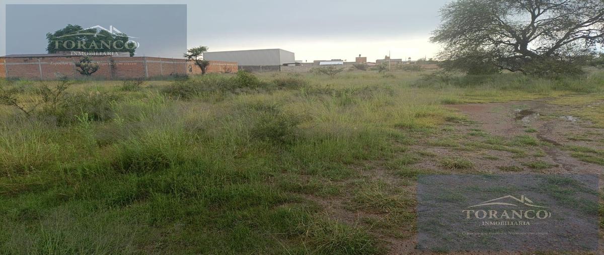 Foto de terreno habitacional en venta en  , peñuelas, aguascalientes, aguascalientes, 30400939 No. 04