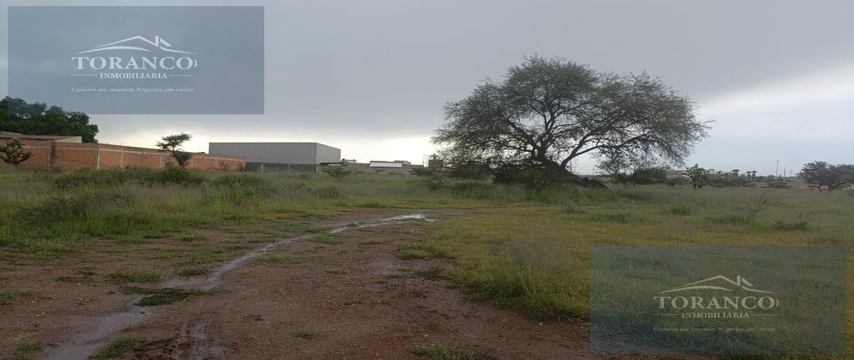 Foto de terreno habitacional en venta en  , peñuelas, aguascalientes, aguascalientes, 30400939 No. 05