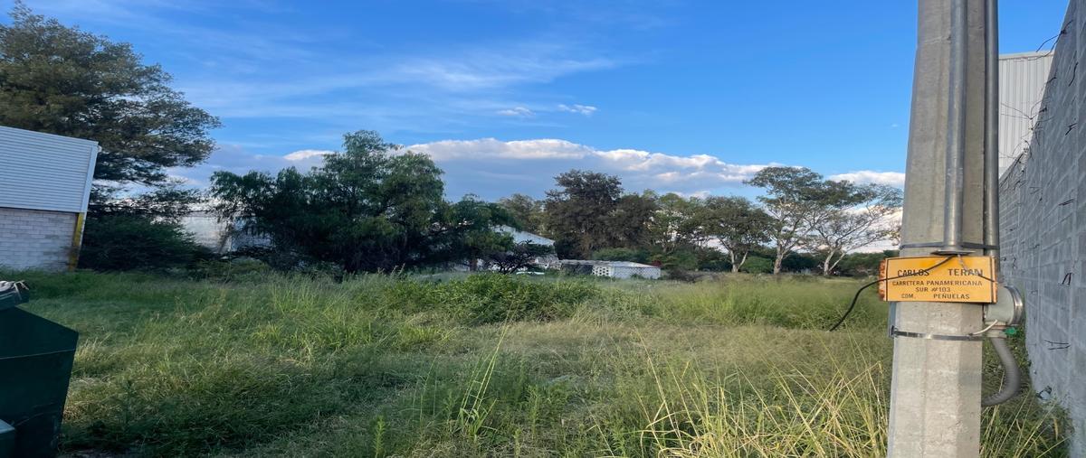 Foto de terreno habitacional en renta en  , peñuelas, aguascalientes, aguascalientes, 0 No. 03