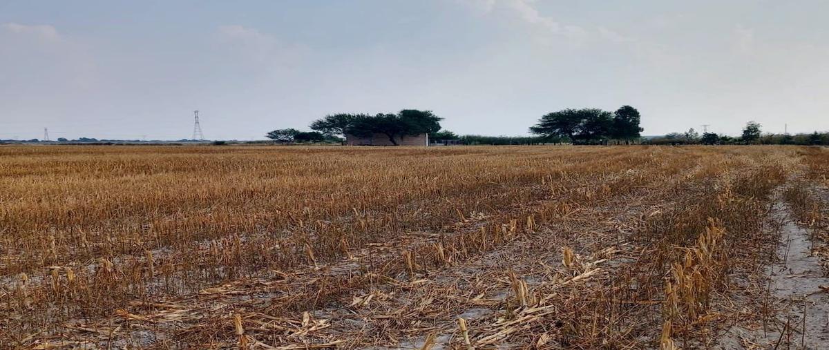 Foto de rancho en venta en peñuelas , peñuelas, aguascalientes, aguascalientes, 0 No. 03