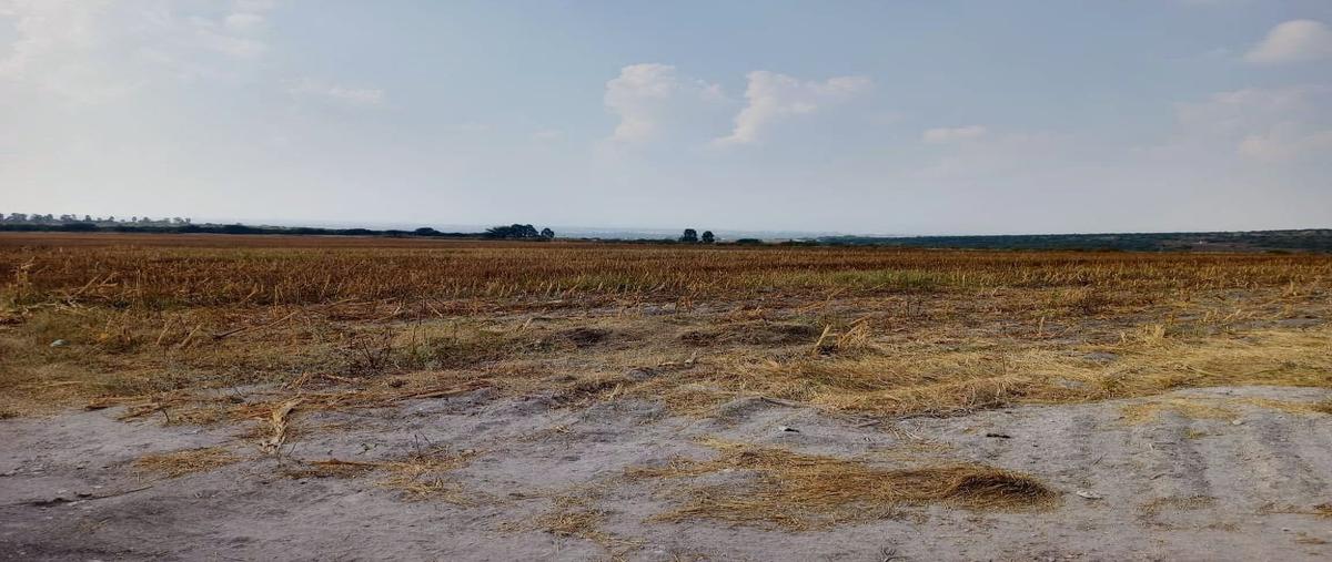 Foto de rancho en venta en peñuelas , peñuelas, aguascalientes, aguascalientes, 0 No. 04