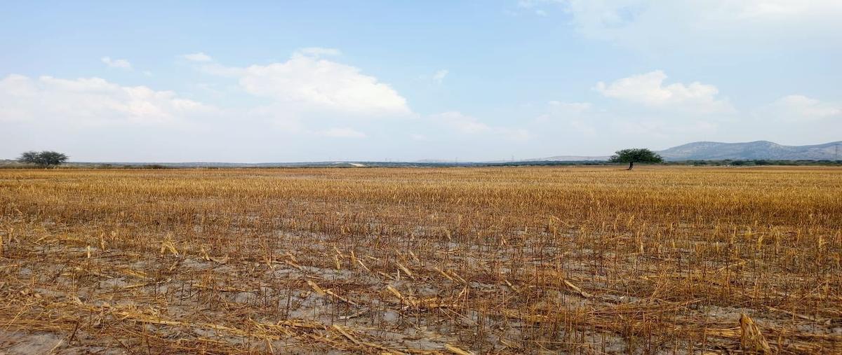 Foto de rancho en venta en peñuelas , peñuelas, aguascalientes, aguascalientes, 0 No. 05