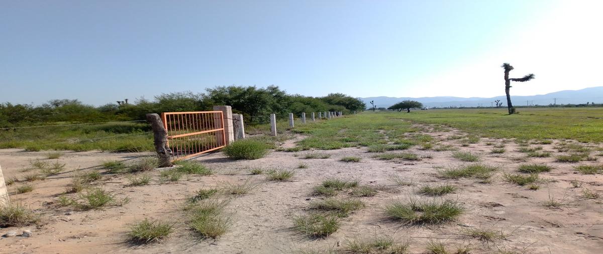 Foto de terreno habitacional en venta en  , peotillos, villa hidalgo, san luis potosí, 17241531 No. 04