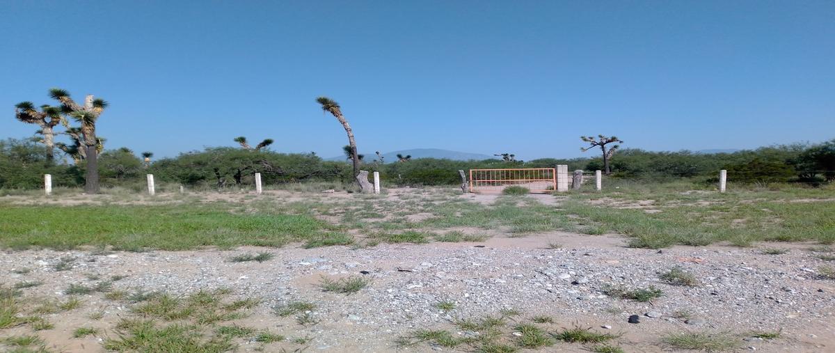 Foto de terreno habitacional en , peotillos, villa hidalgo, san luis potosí, 17253875 foto 03 Foto de terreno habitacional en venta en , peotillos, villa hidalgo, san luis potosí, 17253875 No. 03