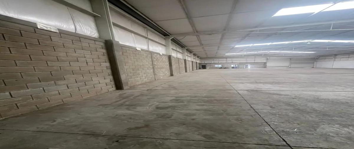 Foto de bodega en renta en  , pequeña zona industrial, torreón, coahuila de zaragoza, 30134644 No. 05
