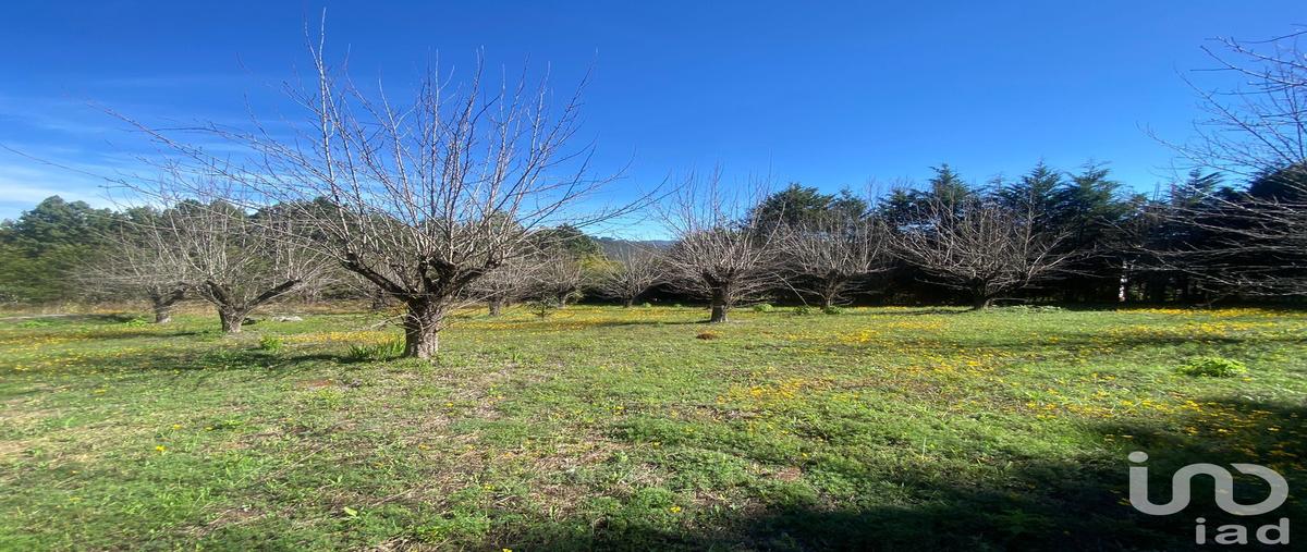 Foto de terreno habitacional en venta en peras 125, las peras, san cristóbal de las casas, chiapas, 28725477 No. 03