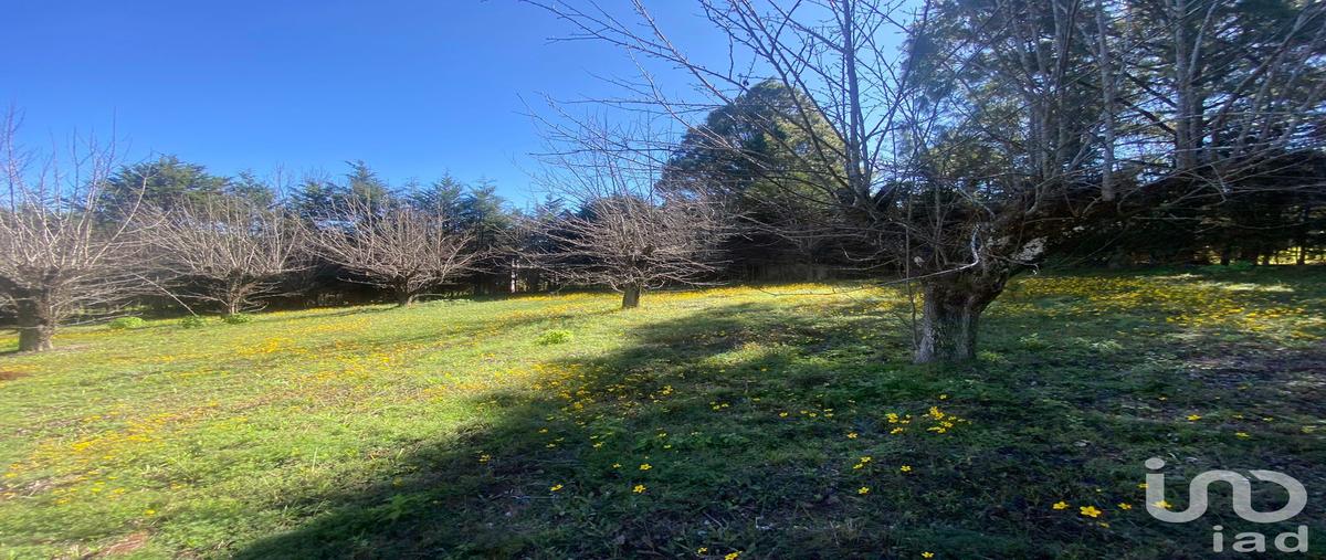 Foto de terreno habitacional en venta en peras 125, las peras, san cristóbal de las casas, chiapas, 28725477 No. 04