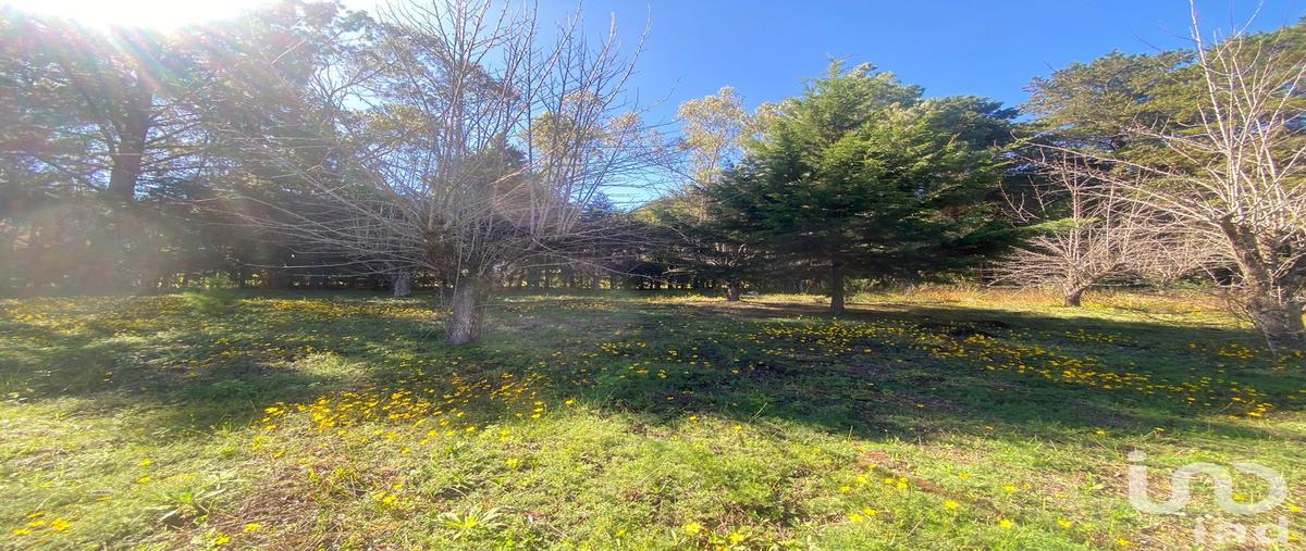 Foto de terreno habitacional en venta en peras 125, las peras, san cristóbal de las casas, chiapas, 28725477 No. 05