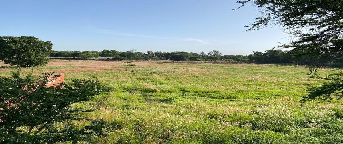 Foto de terreno habitacional en peredo , jonacatepec, jonacatepec de leandro valle, morelos, 27701155 foto 05 Foto de terreno habitacional en venta en peredo , jonacatepec, jonacatepec de leandro valle, morelos, 27701155 No. 05