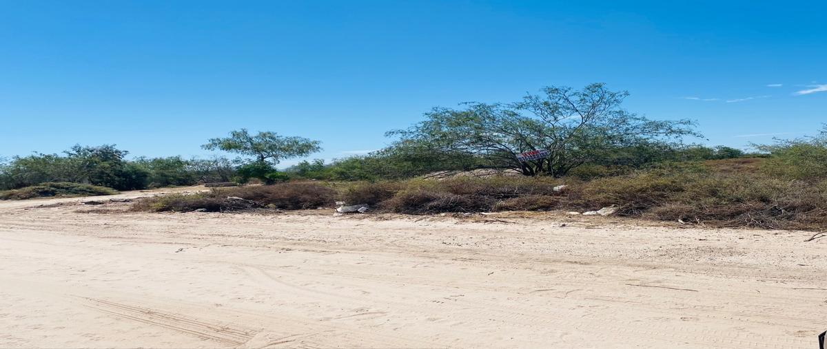 Foto de terreno comercial en venta en perejil , el centenario, la paz, baja california sur, 25243250 No. 01