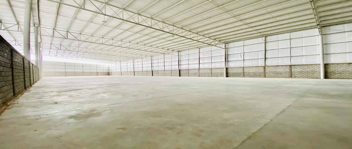 Foto de bodega en renta en periférico gómez palacio , bugambilias, gómez palacio, durango, 30713197 No. 04