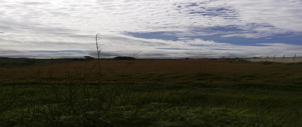 Foto de terreno comercial en venta en periferico oriente esquina calle innominada , yocnajab, comitán de domínguez, chiapas, 20496953 No. 03