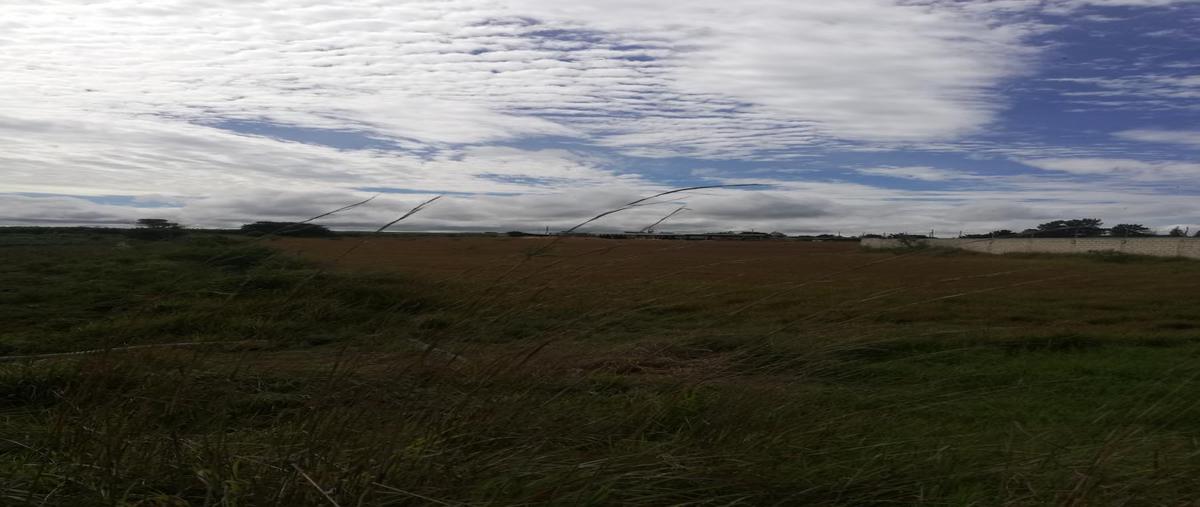 Foto de terreno comercial en venta en periferico oriente esquina calle innominada , yocnajab, comitán de domínguez, chiapas, 20496953 No. 05