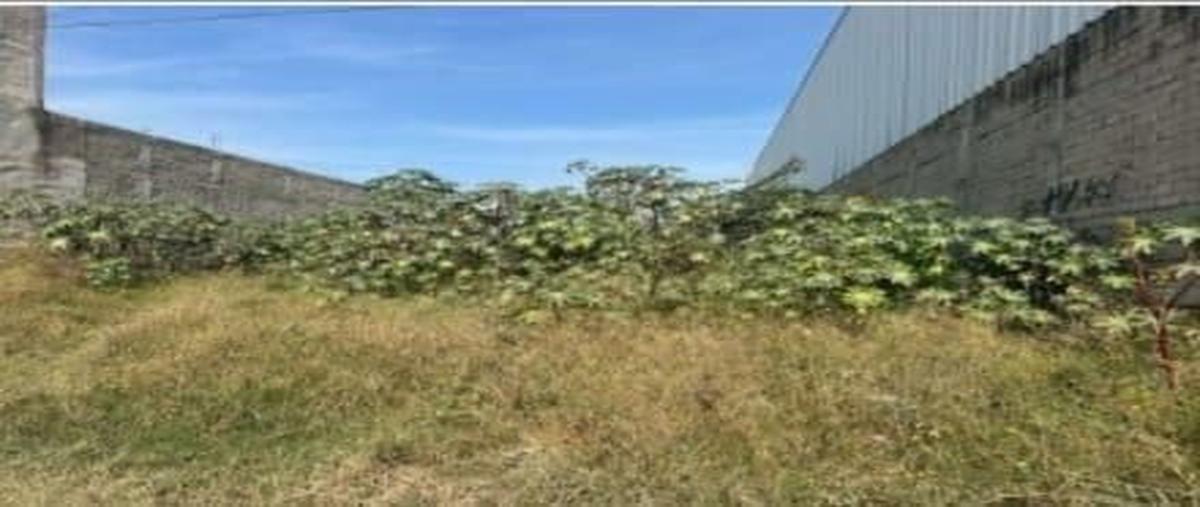 Foto de terreno habitacional en venta en periferico oriente , san jose del castillo, el salto, jalisco, 0 No. 04