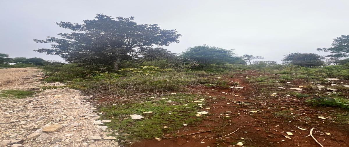 Foto de terreno habitacional en venta en periférico sur , el santuario, san cristóbal de las casas, chiapas, 0 No. 04