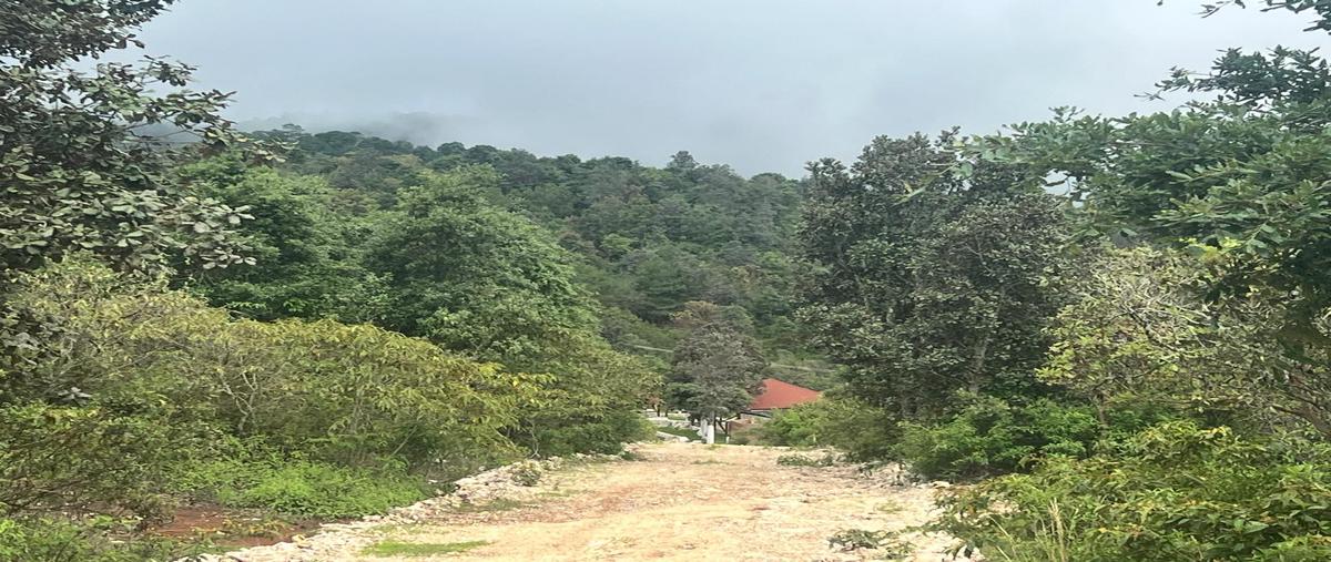 Foto de terreno habitacional en venta en periférico sur , el santuario, san cristóbal de las casas, chiapas, 0 No. 05